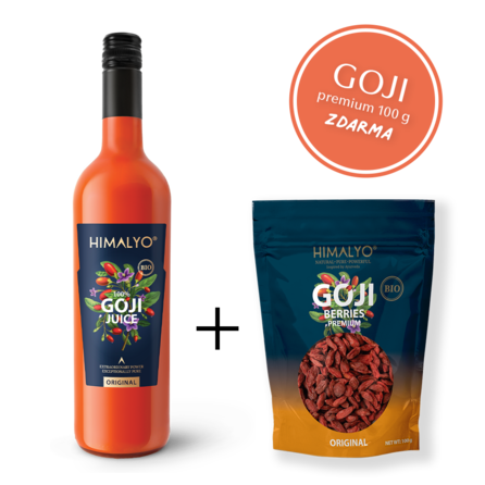 GOJI 100% Juice BIO +100g plody